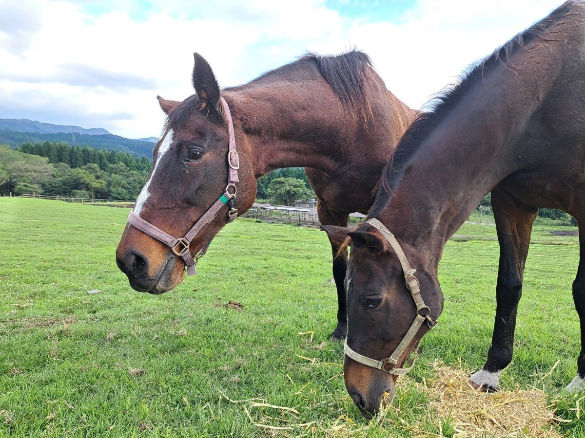 47100692460f322571dcf4c6af8766a7-1761808702.jpg 47100692460f322571dcf4c6af8766a7-1761808702.jpg